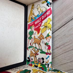 DÉCOR DE L'ÉCRAN DE PROJECTION